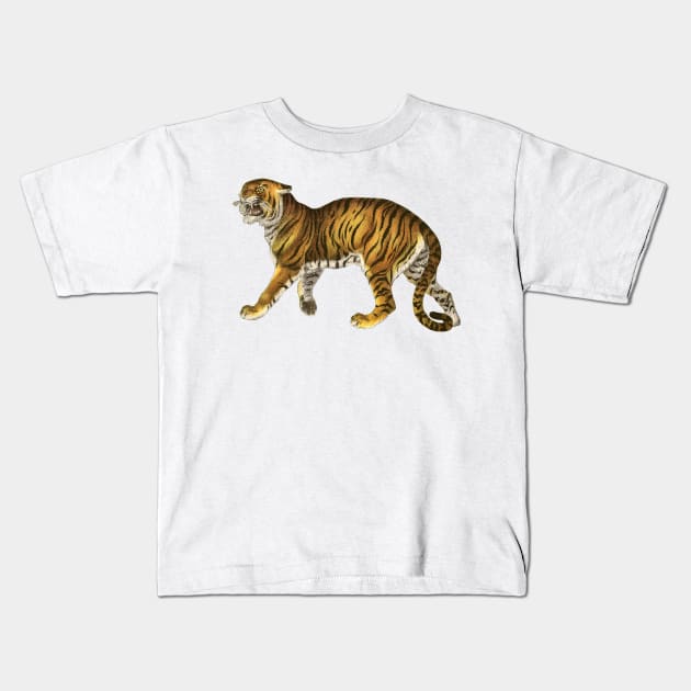 Wild Safari Tiger Kids T-Shirt by RedThorThreads